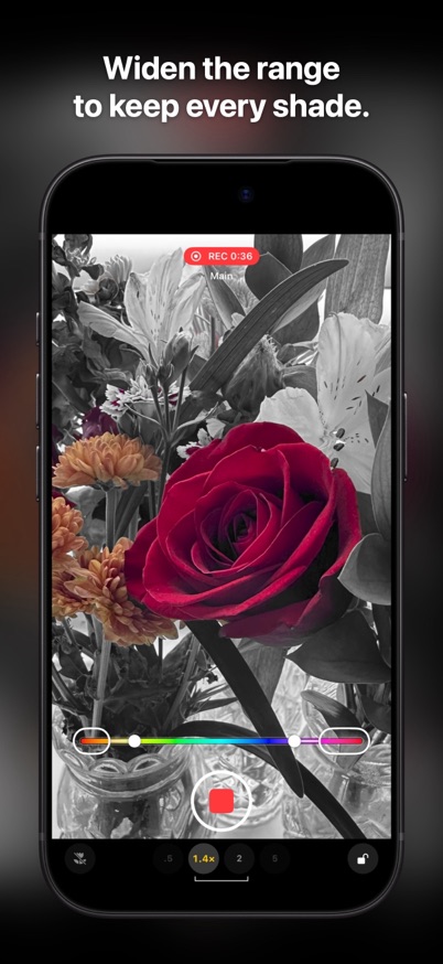 Color Focus widening the color range to keep every shade of a red rose
