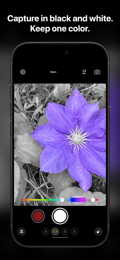 Color Focus keeping only the violet of a clematis flower